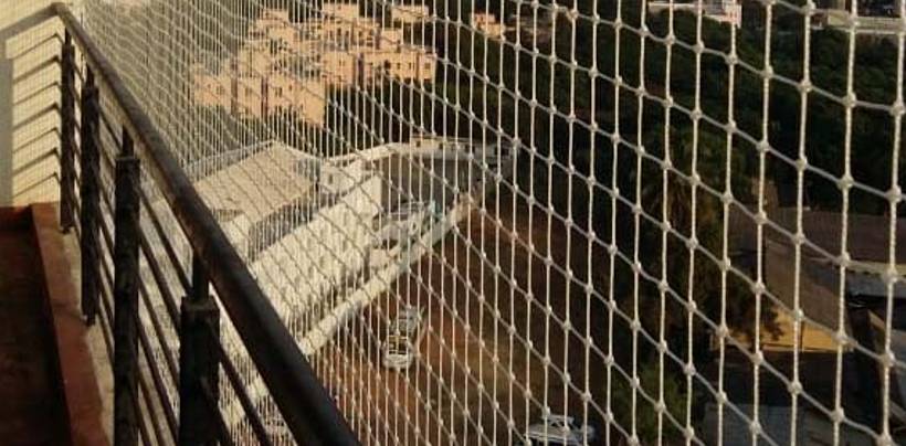 Bird Protection Nets In Bangalore | Call 9901102288 for Free Inspection